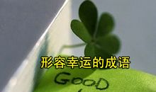 描写开心的成语