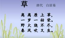 描写小草的诗句有哪些