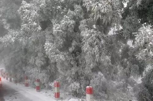 飘雪谈