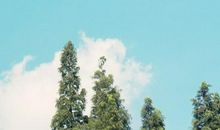 比喻句白云像什么