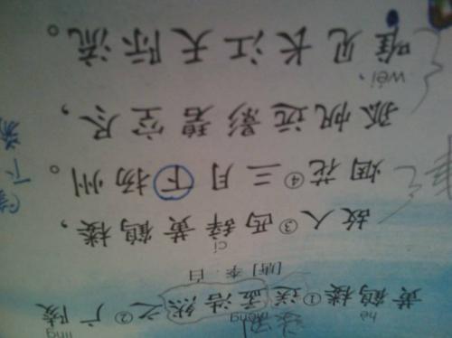 每天在句子中积累