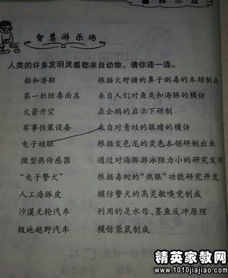不禁用一句话
