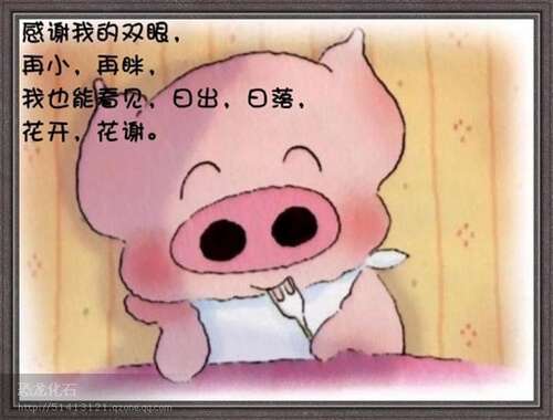 麦兜最经典的报价