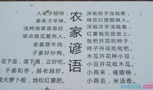 情绪影响健康的谚语