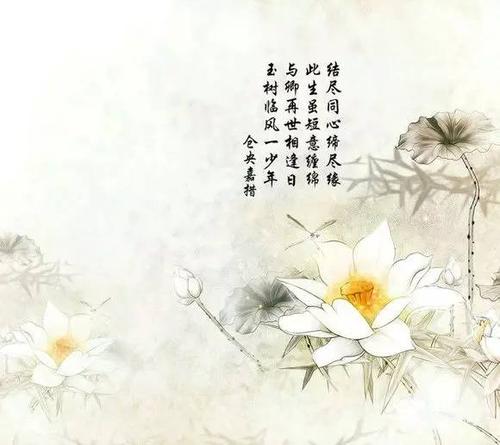 关于遭遇的经典句子