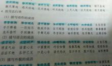 描写少年外貌的好段