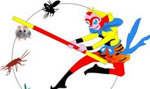 白骨精遇上了孙悟空歇后语