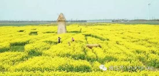 快乐和快乐的句子简短的快乐快乐的句子