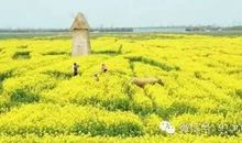 祝你开心快乐的句子 简短祝开心快乐句子