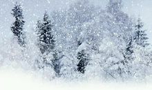 雪景描写的句子