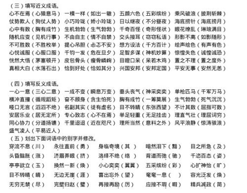 镜子里的猴子
