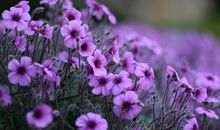 形容生完孩子开心的句子 生宝宝高兴的心情说说