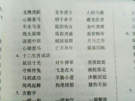 四个字符的单词和短语的生日祝福
