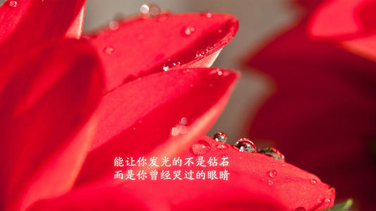 表达好心情
