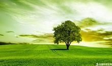 描写草原景色的成语