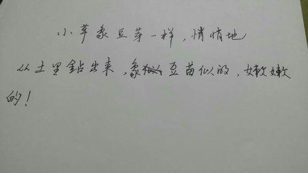 拥挤的隐喻