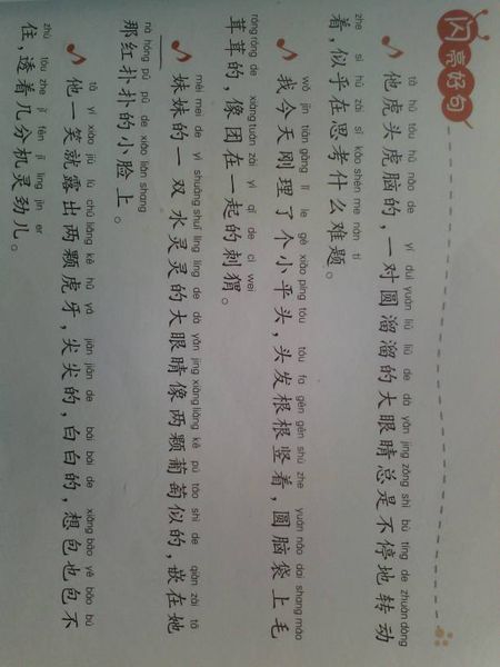 一段描述一个小女孩的外表