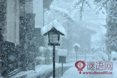 谈论雪