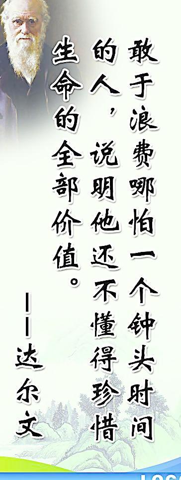 达尔文行情