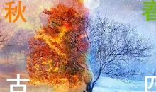 写春夏秋冬的句子