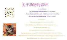 和动物有关的英语谚语