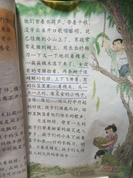 石头的寓言