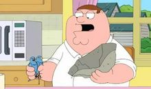 关于写动物的歇后语