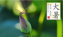 关于农作物生长的谚语