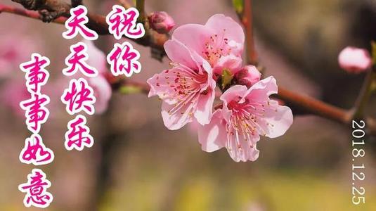 冬季问候