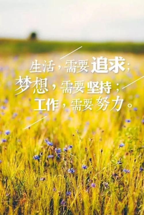 2019正能量句子