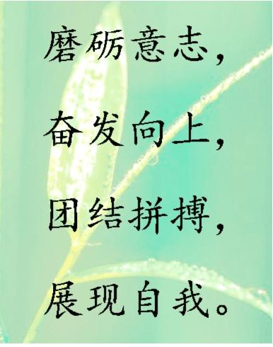 高中体育课口号8字
