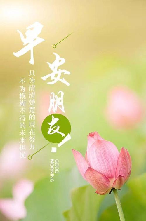 冬季的问候和关怀的话