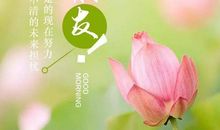 冬天问候语及关心话