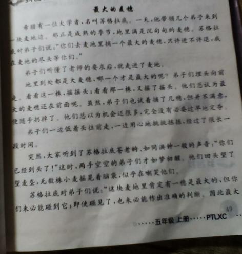 关于善良的寓言