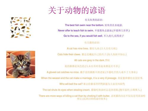 什么是动物寓言