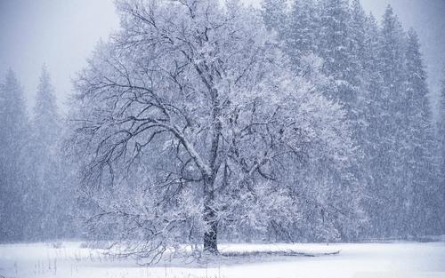 下雪的比喻句
