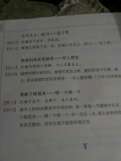 谐音动物过敏
