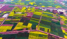 描写乡村美景的句子