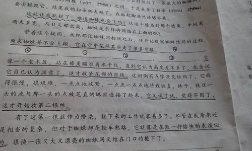 拟人的
