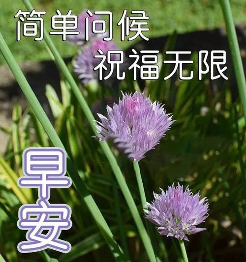 四月的祝福