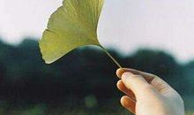 生命里没有真正渴望的人,从来也不会知道失去的滋味