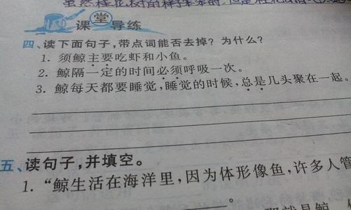 激烈的隐喻
