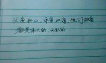 描写母爱的抒情句子