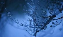 最简短有意境的诗句