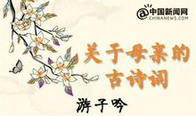 描写母爱的古诗句