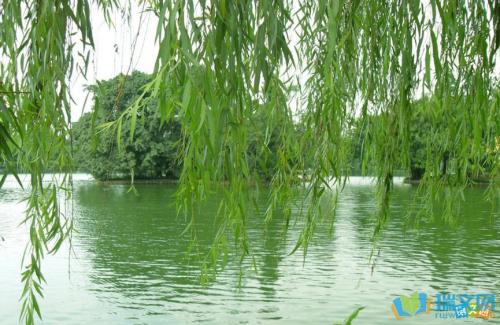 美丽风景的寓言
