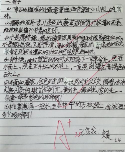 摘录动物的好词和句子