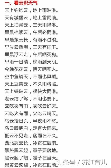 谚语是什么