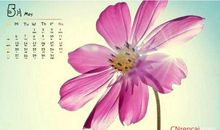 描写五月季节的句子