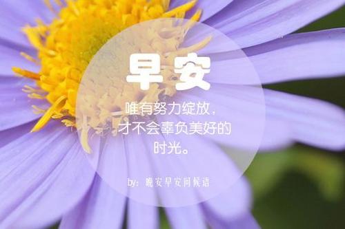 2019早安励志词